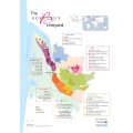 The Bordeaux Wine Region